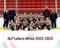 SLP Mites Team