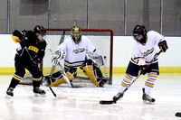 Var. Girls' Hockey vs AA