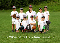State Farm Insurance Team