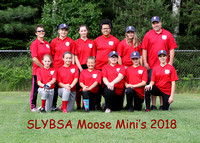 SL Moose Mini's Team and Individual